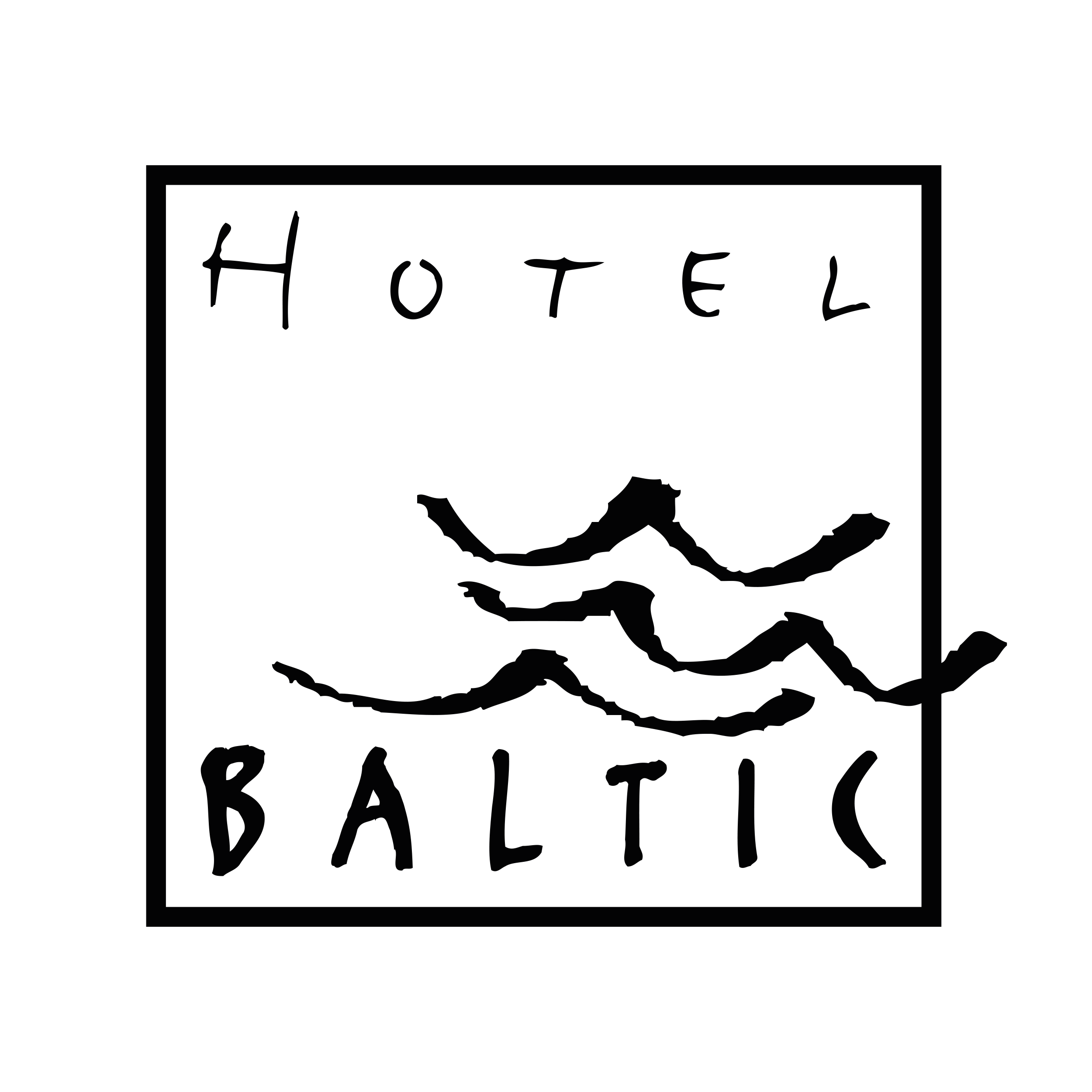 Hotel baltic logo